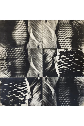 112. Gyarmathy Tihamér ( 1915 - 2005 ) Fotogram 1. , 1964