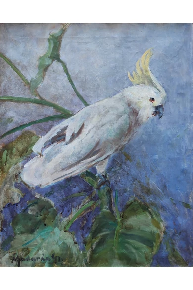 034. Madarász Gyula ( 1858 - 1931 ) Kakadu